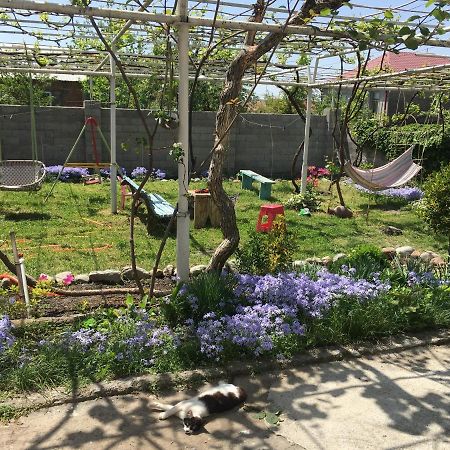 Guesthouse Aisi In ラゴデヒ エクステリア 写真